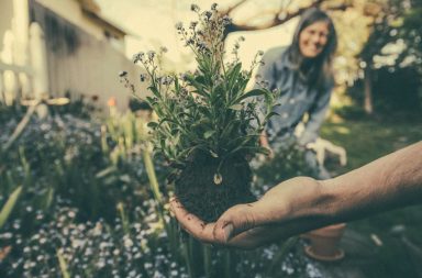 Abbildung Gartenarbeit im Sommer