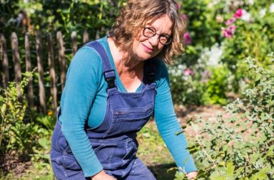 Bild Frau im Garten