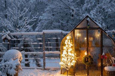 Winterfeste Gartenpflege: Pflanzenschutz