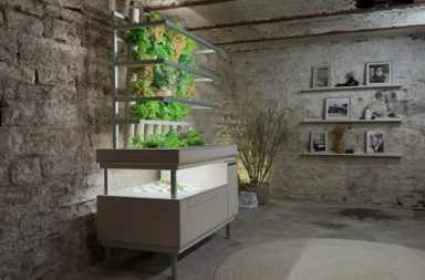 LIROGA Indoor-Garten im Wohnzimmer mit frischen Kräutern